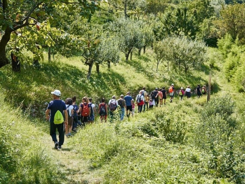 Фото Family Hotel Polsa