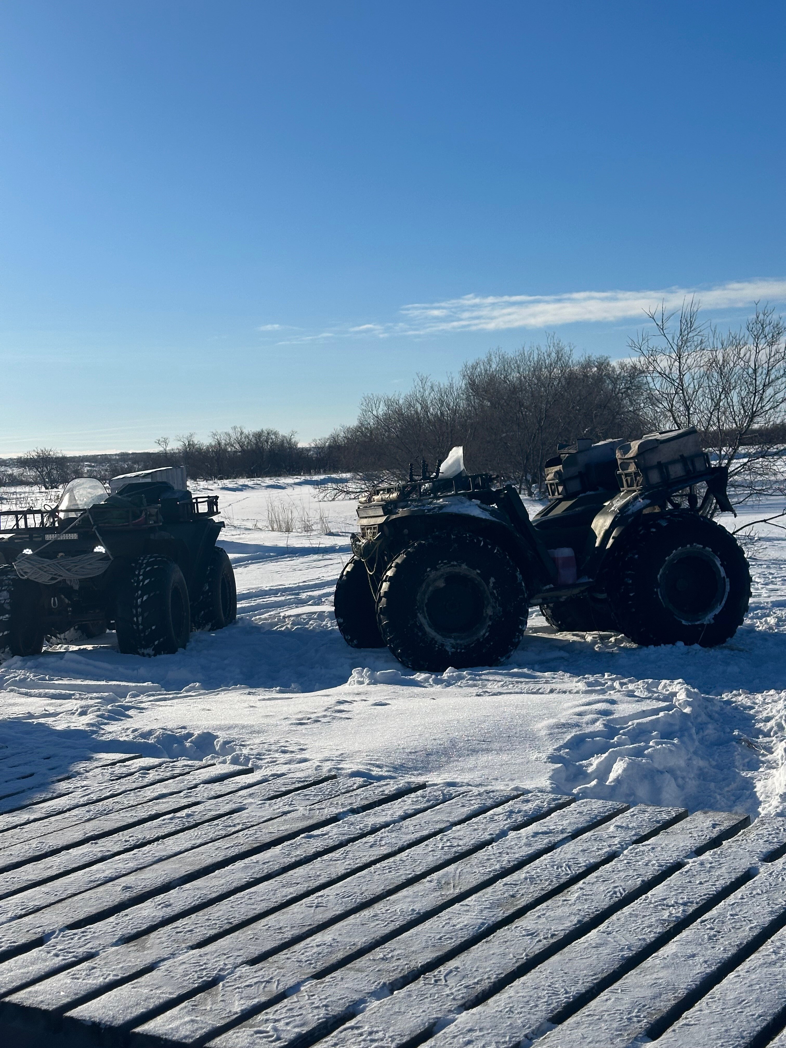 Фото ПроЛосось