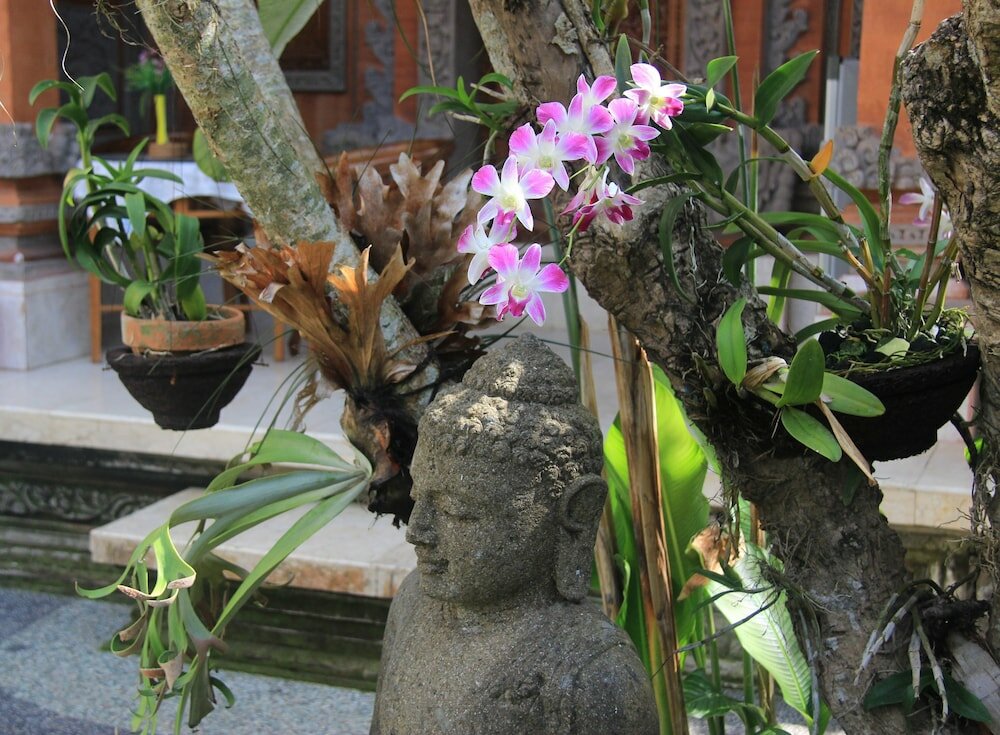 Фото Lilacita Inn