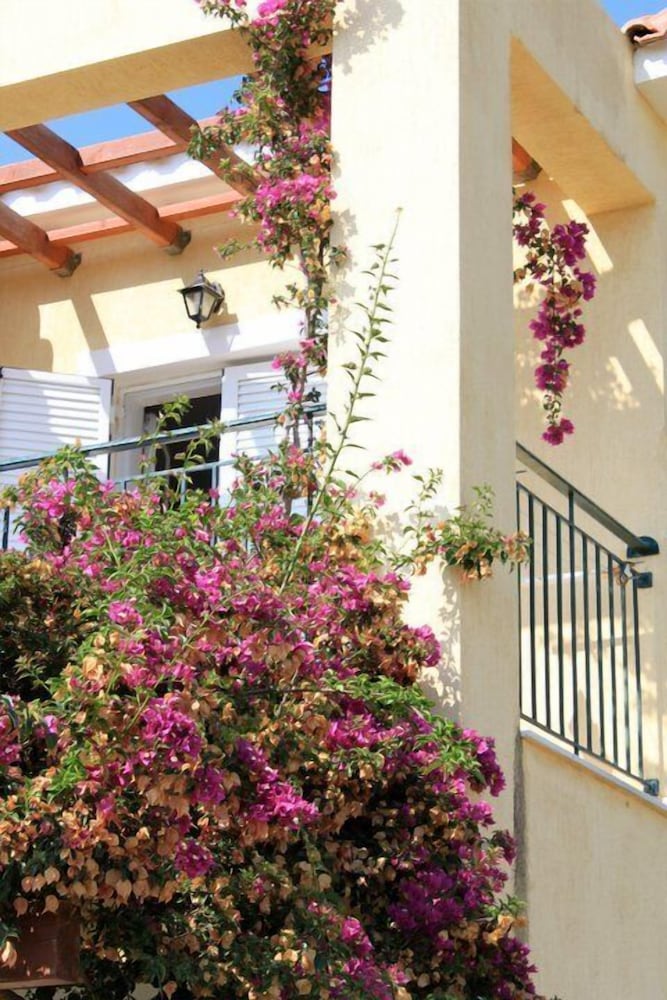 Фото Marias Garden Apartments