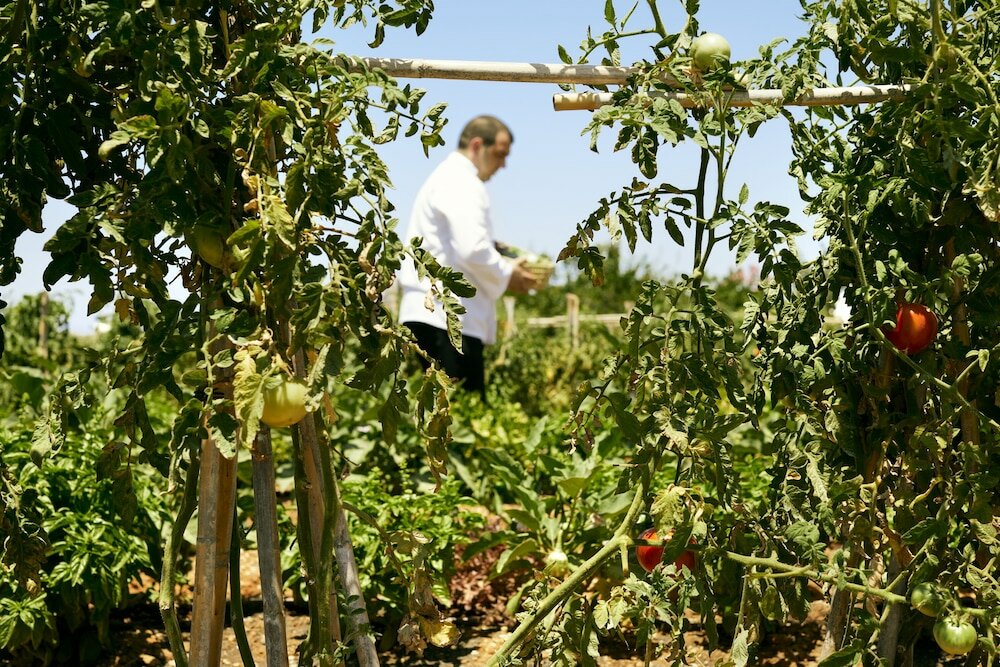 Фото Santo Pure Oia Suites & Villas