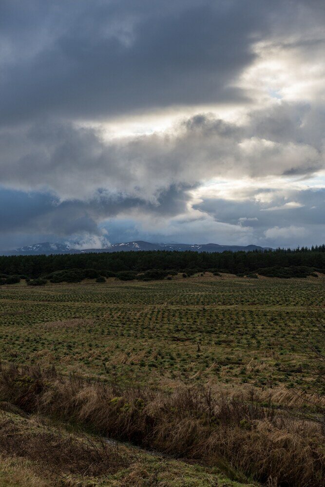 Фото The Steading