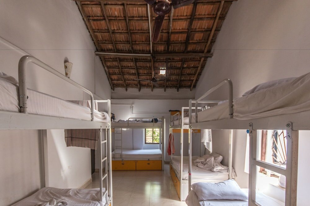 Фото Backpacker Panda Goa