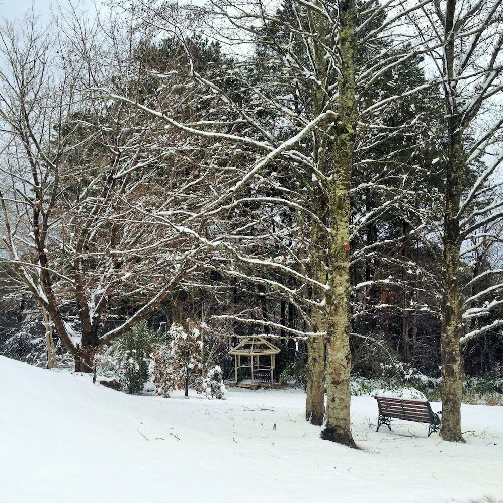 Фото Bethany Manor Bed & Breakfast