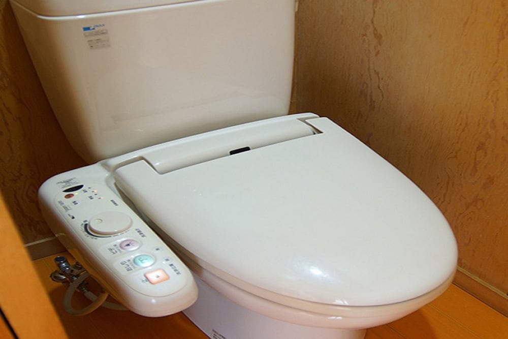 Фото Hotel Asafuji