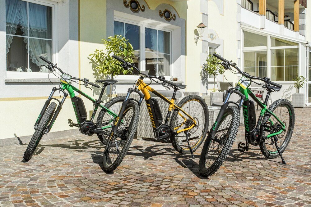 Фото Sonnenhotel Adler