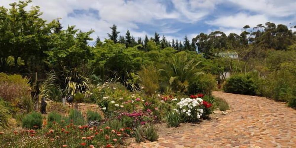 Фото Peace Valley Guesthouse