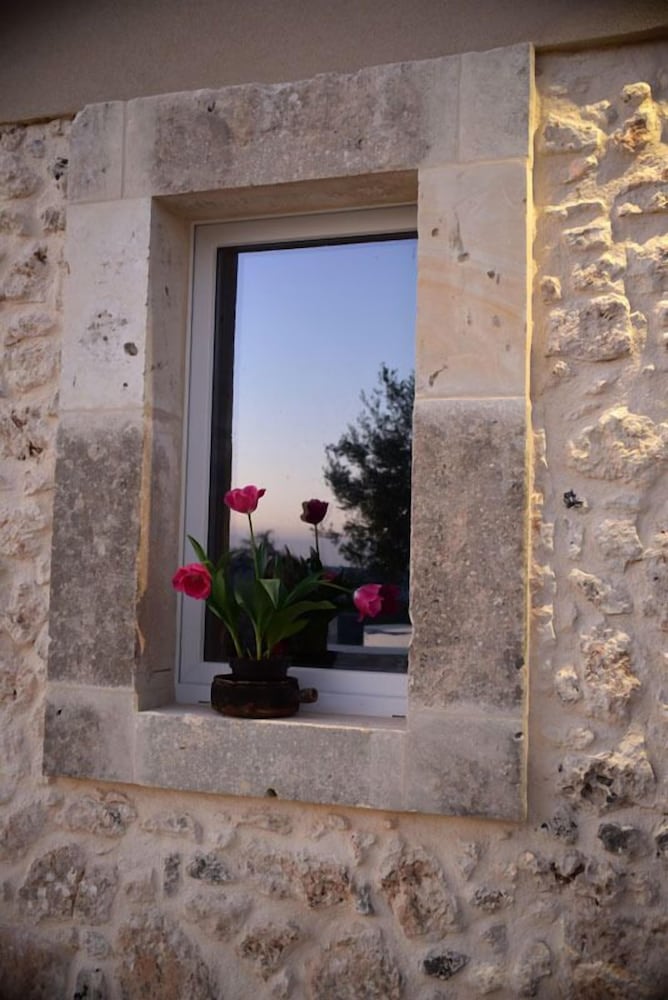 Фото La Mela di Venere