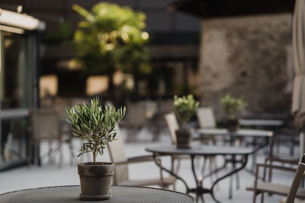 Фото Hotel das stachelburg