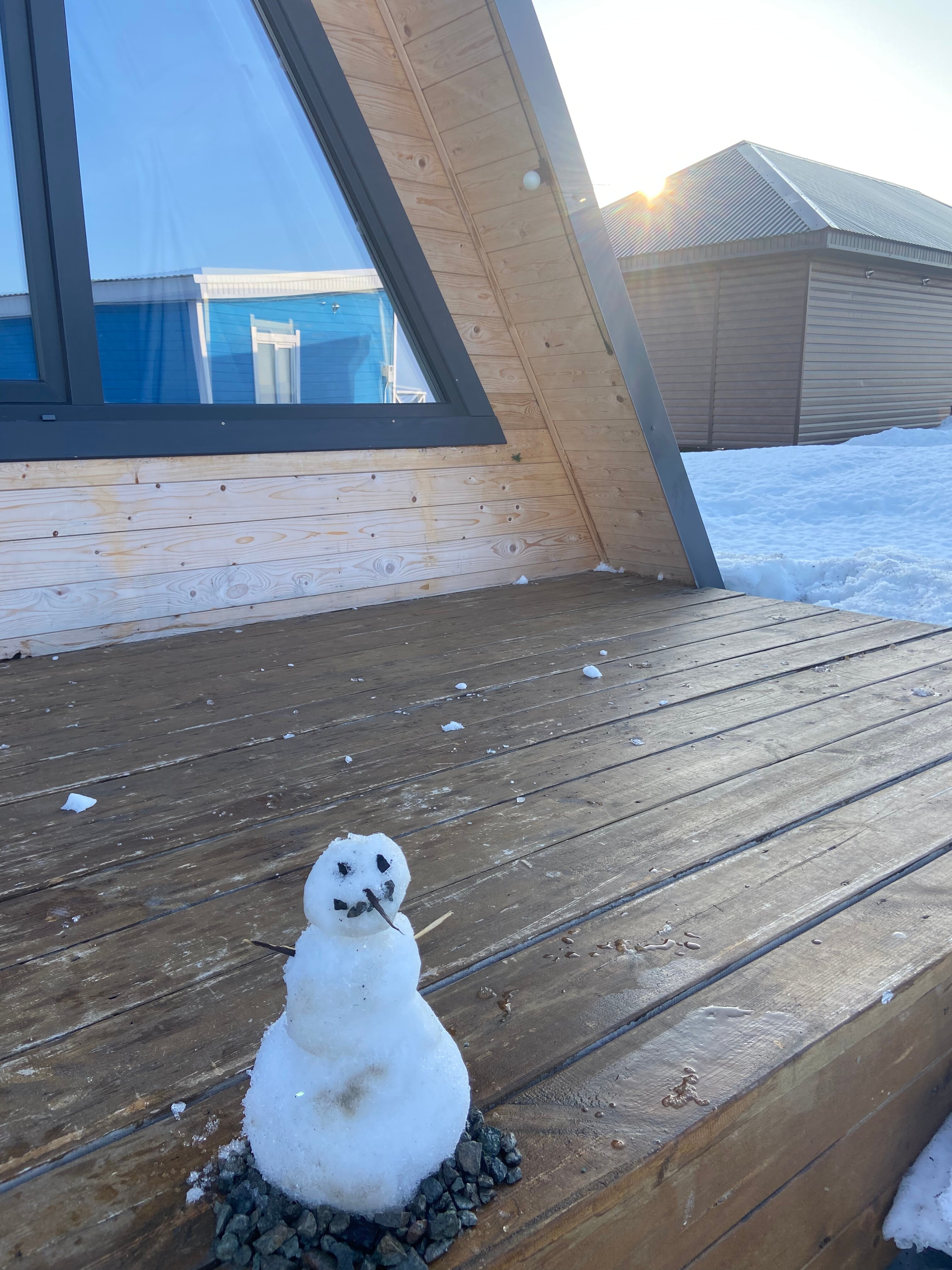 Фото Лебедино Эко