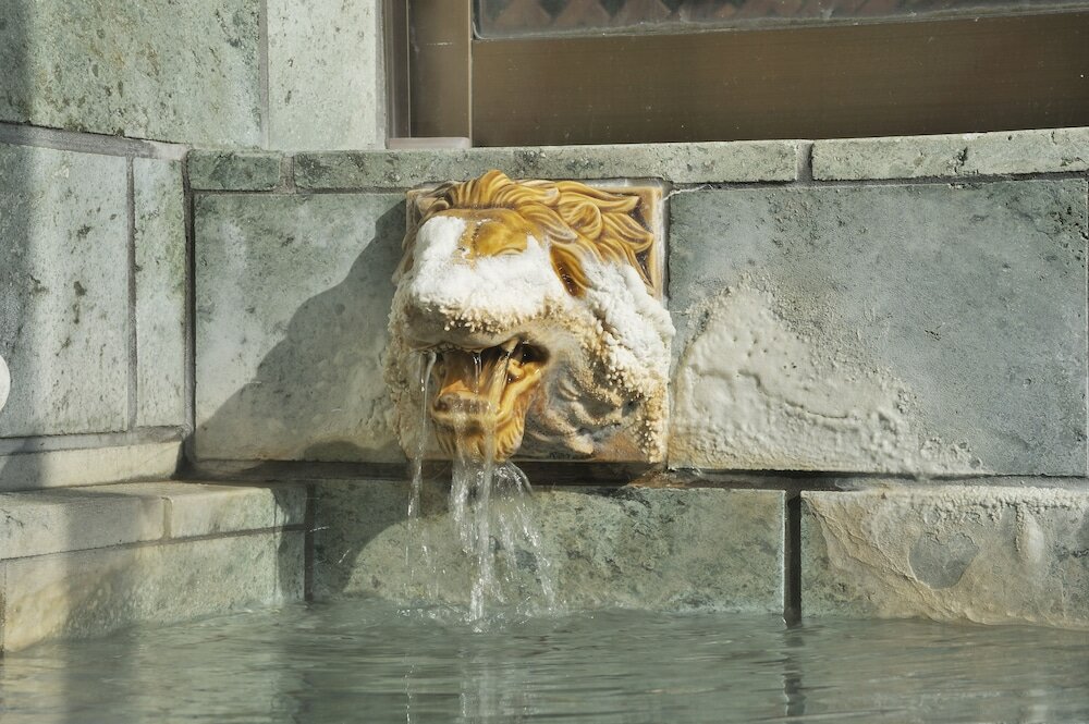 Фото Hotel Chobo Sanso