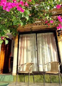 Гостиница Hostal Sunset