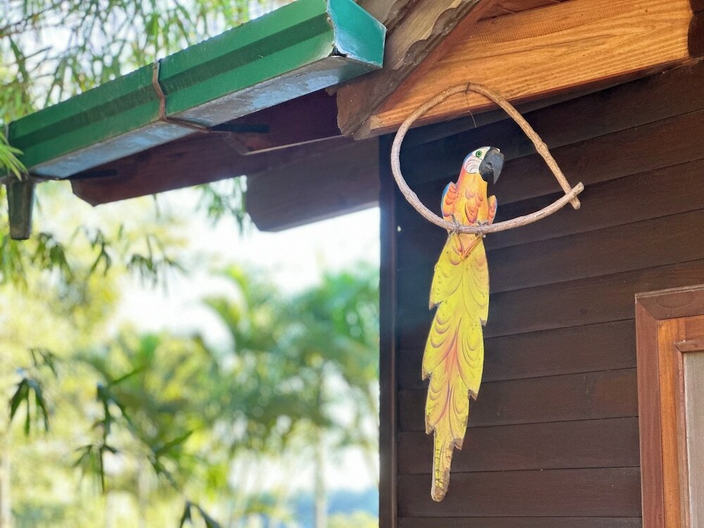 Фото Costa del Sol Iguazú