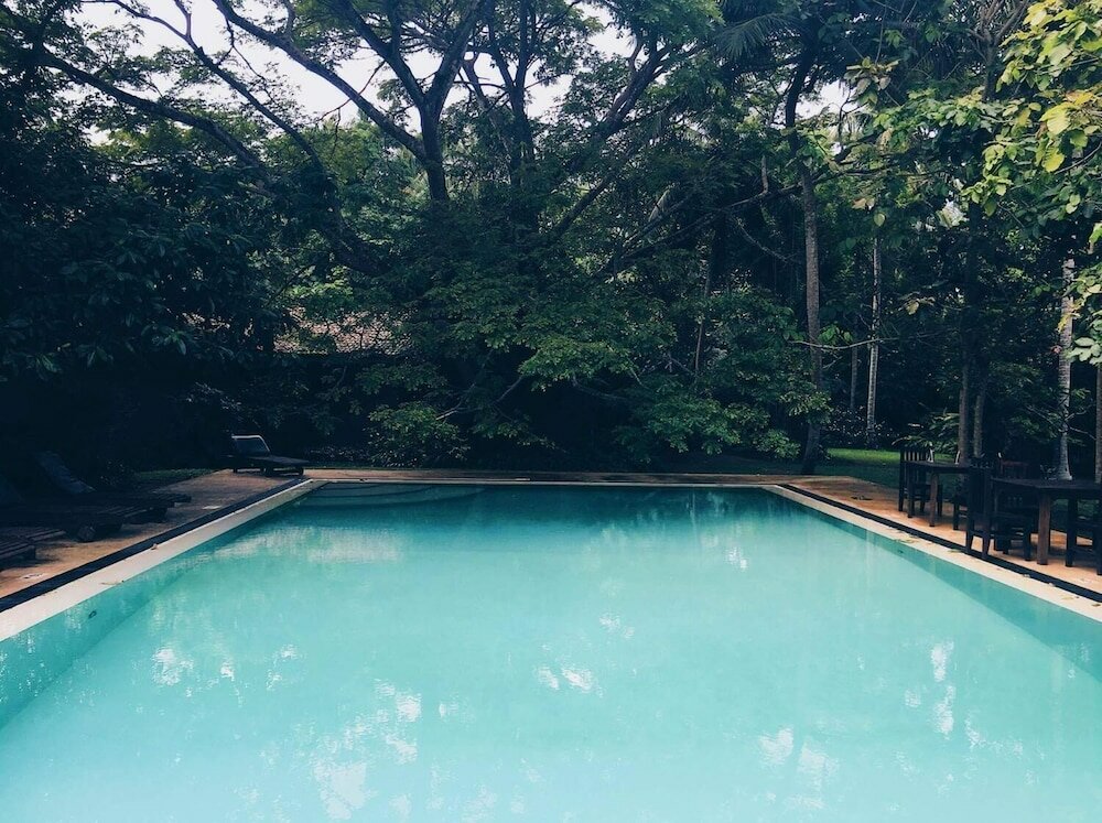 Фото Bungalow Sud