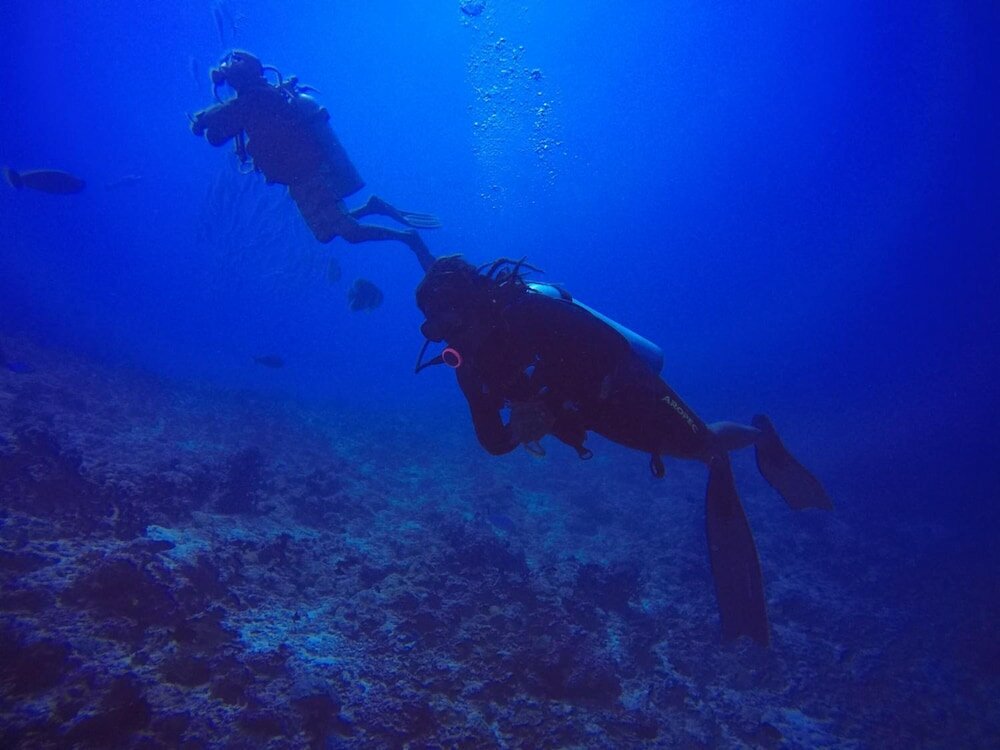 Фото Rasdhoo Coralville Hotel