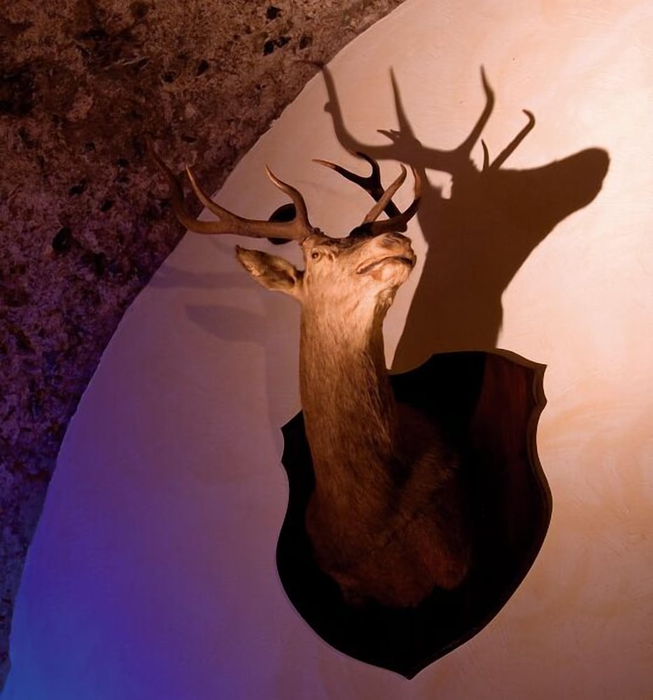 Фото Agriturismo Monte Due Torri