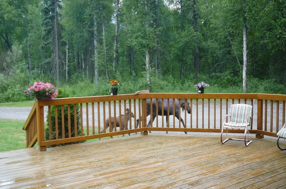 Фото Meandering Moose Lodging