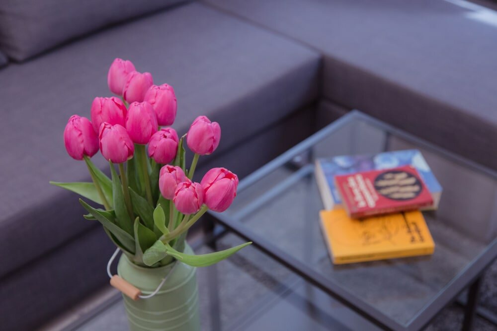 Фото Shenkin Vilmar Apartments