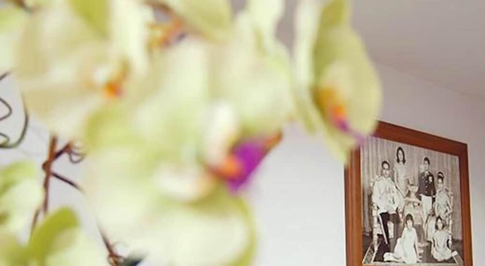 Фото Roof View Place