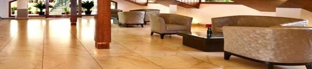 Фото Jk Clarks Exotica