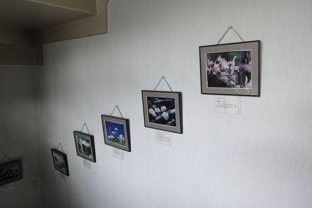 Фото Hakuba Glad Inn Ebisuya