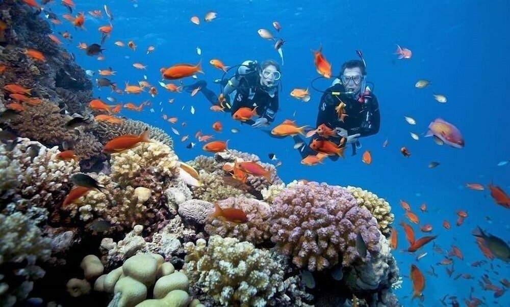 Фото Art Deluxe Hotel