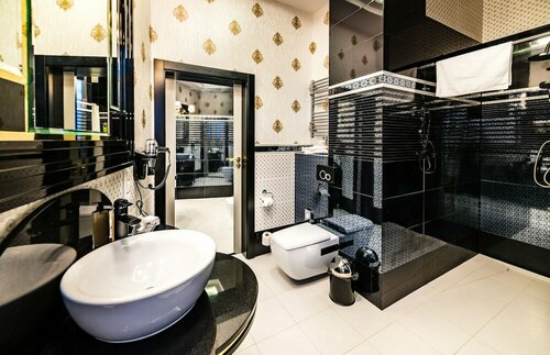 Гостиница Hotel Dana Business & Conference в Полице