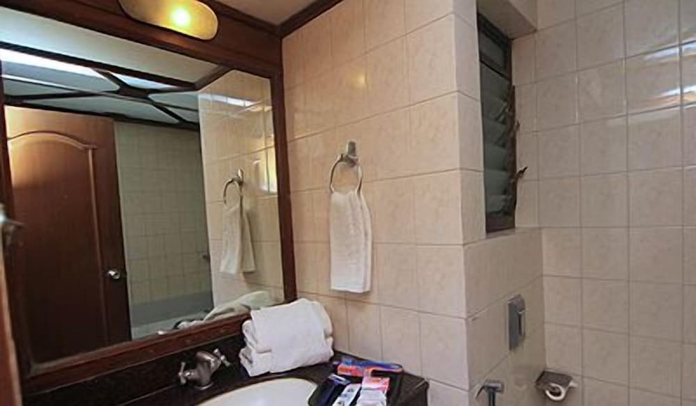 Фото Hotel The Metropole