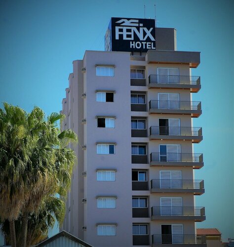 Гостиница Hotel Fenix Pouso Alegre