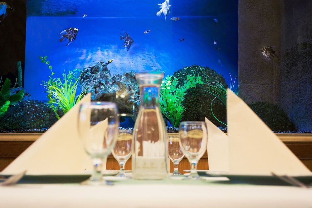 Фото Отель Olympia Wellness