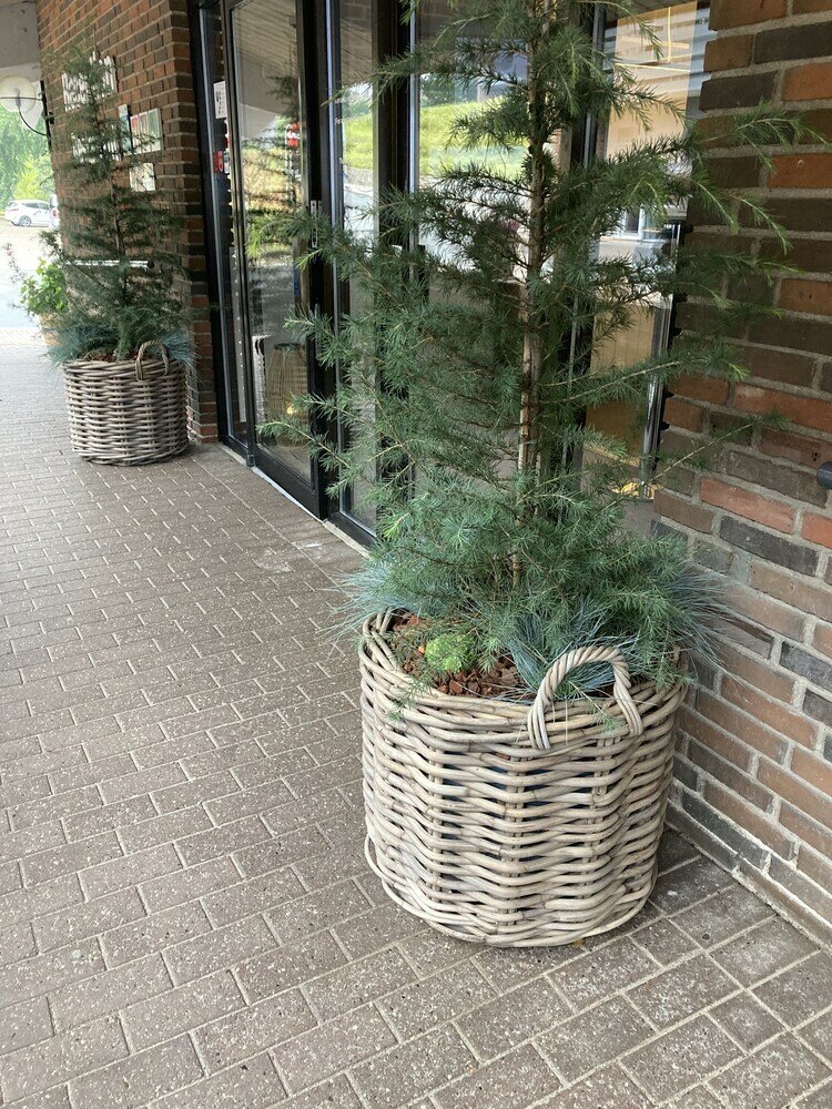 Фото Hotel Christiansminde