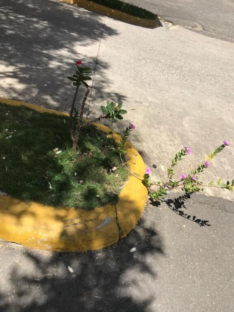 Фото Residencial Gutierrez country