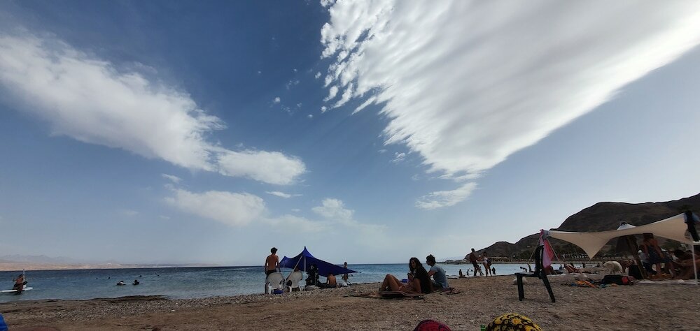 Фото Melony Apartment