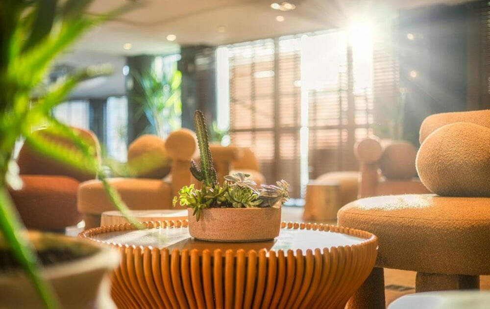 Фото Brown Red Sea