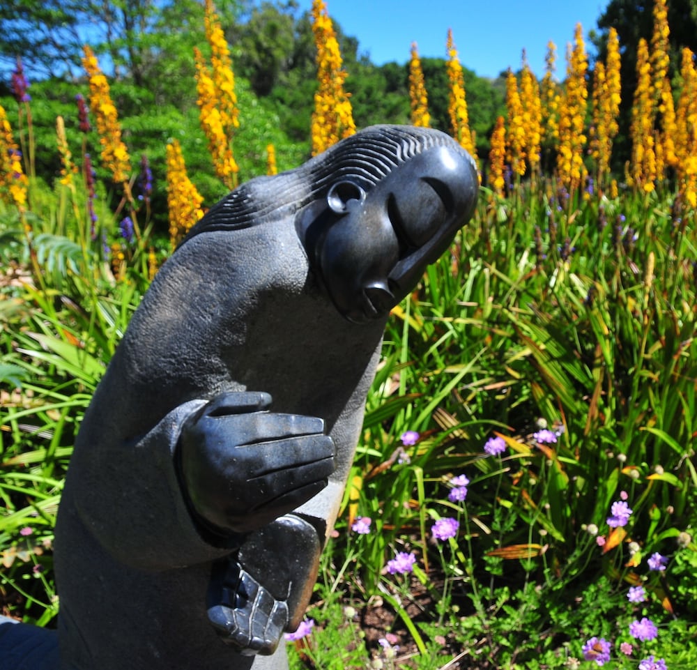 Фото Bradclin House