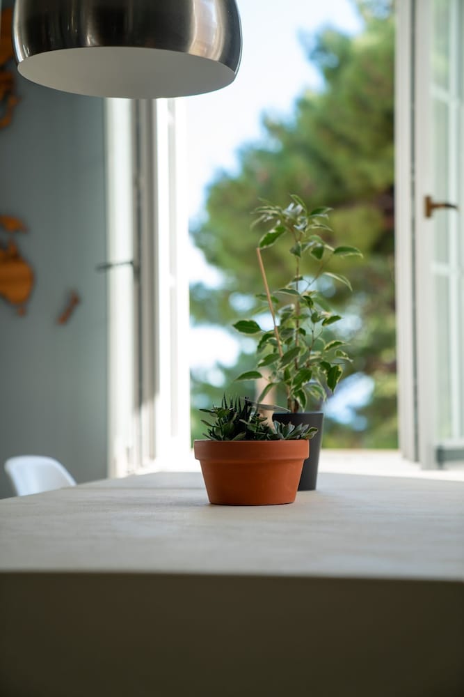 Фото Luxury Apartment Eqanimity