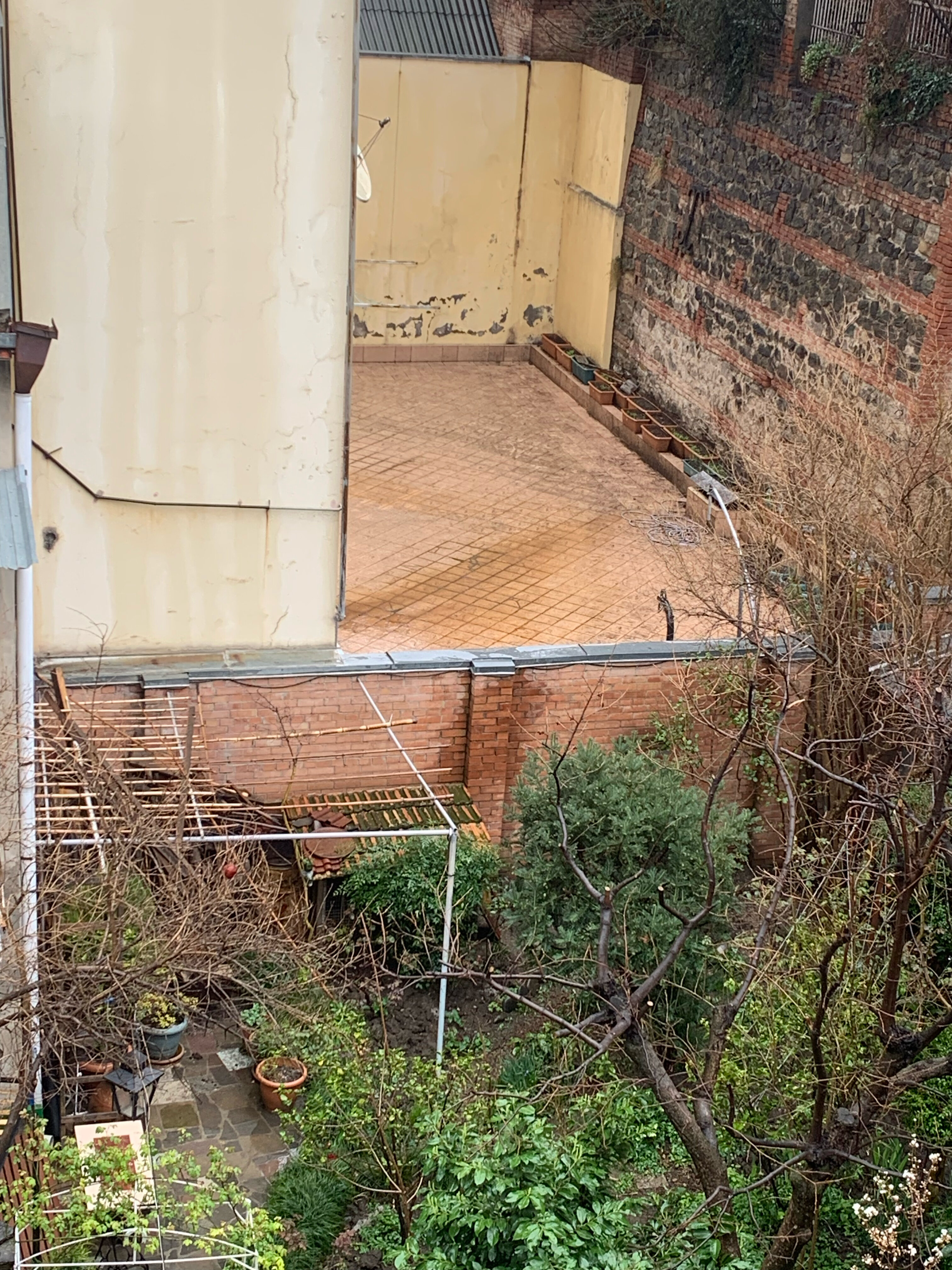 Фото British House