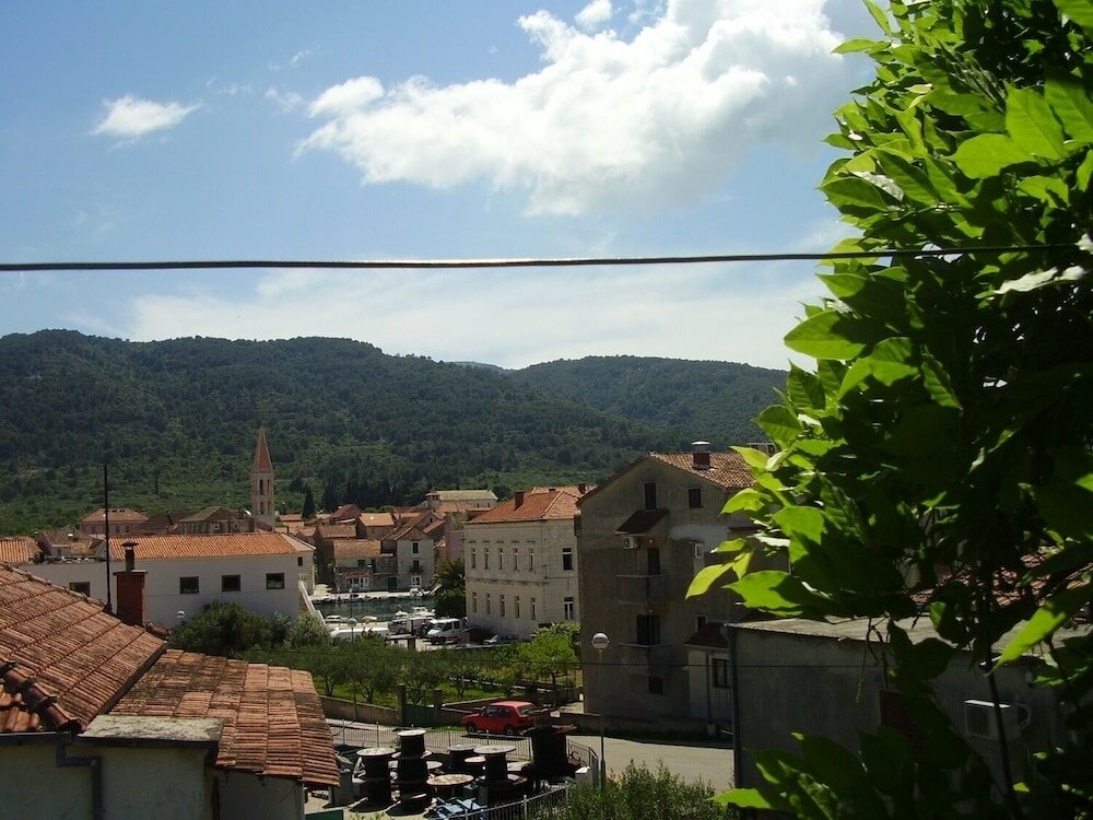 Фото Igor - Near Center - Sa1-teuta