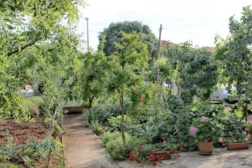 Фото Slavica - Free Parking - A2 Veliki