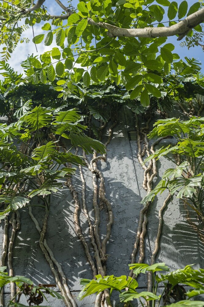 Фото Monolocale Resort Seminyak by Ini Vie Hospitality