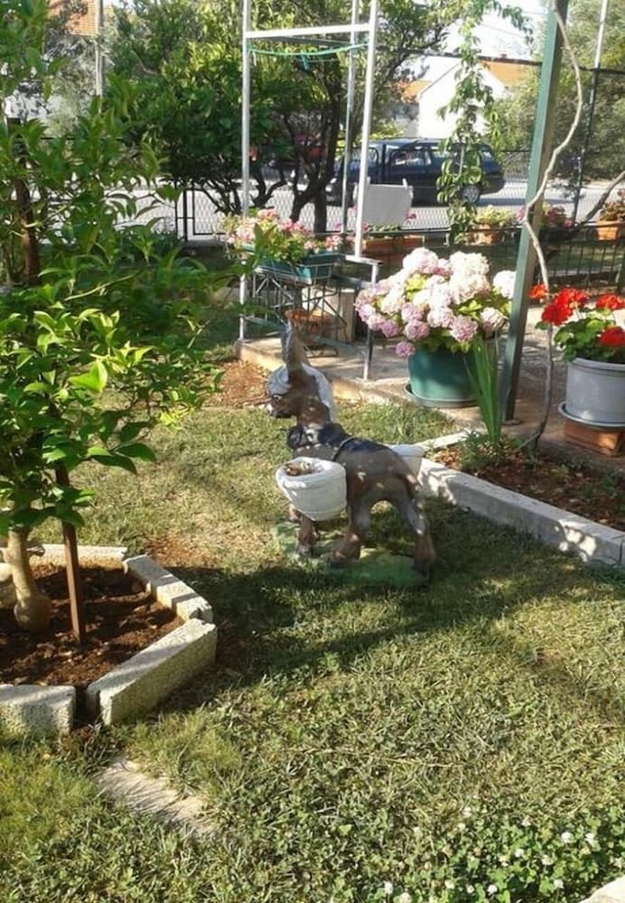 Фото Tomislav - 100 m From sea - H