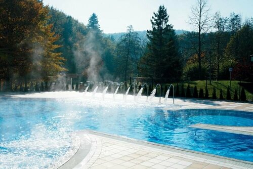 Гостиница Hotel Toplice - Terme Krka