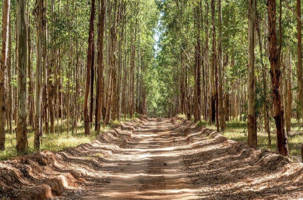 Фото Buganville Villas