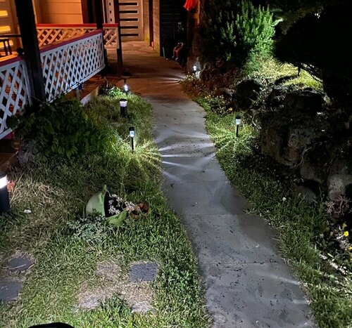 Гостиница Jeju Honey Night Guest House