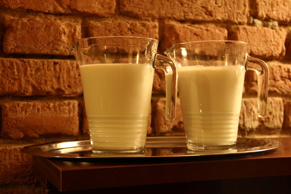 Фото Trevi Hotel