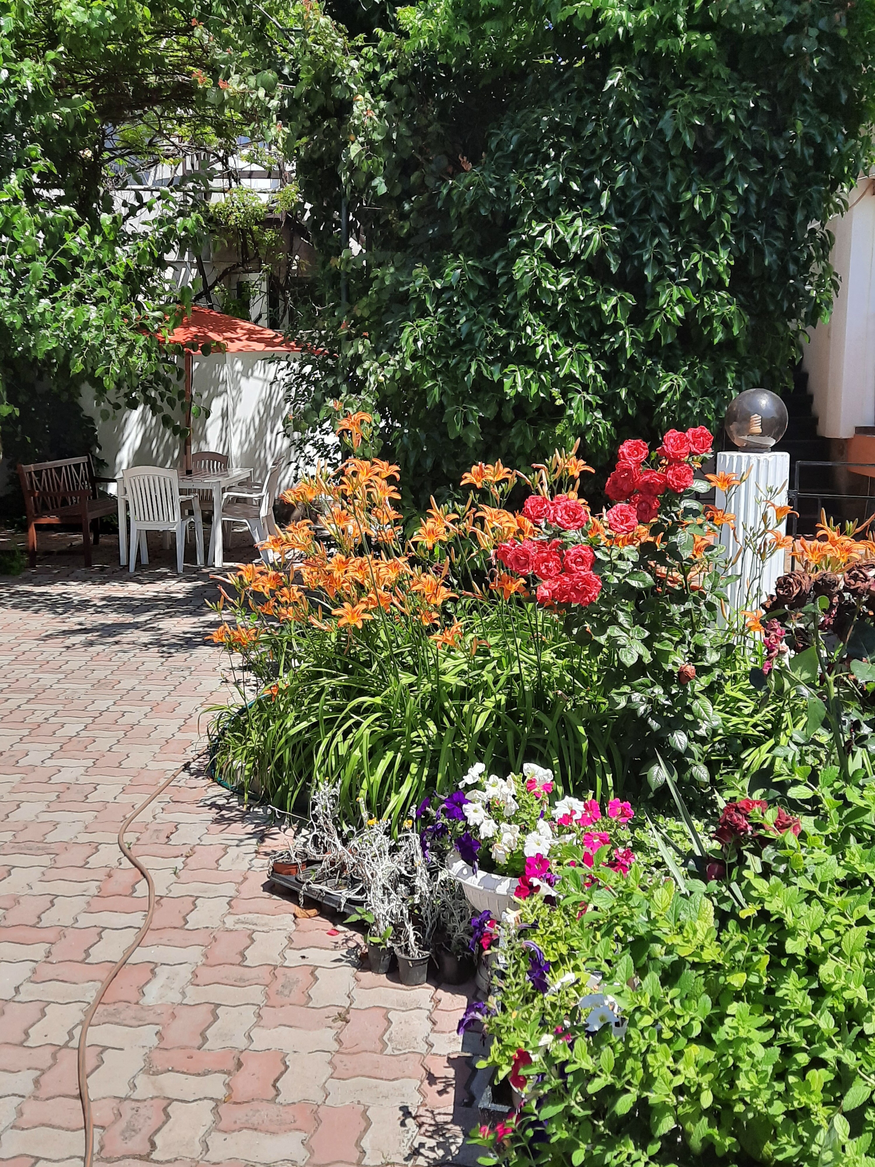 Фото Меридиана-2