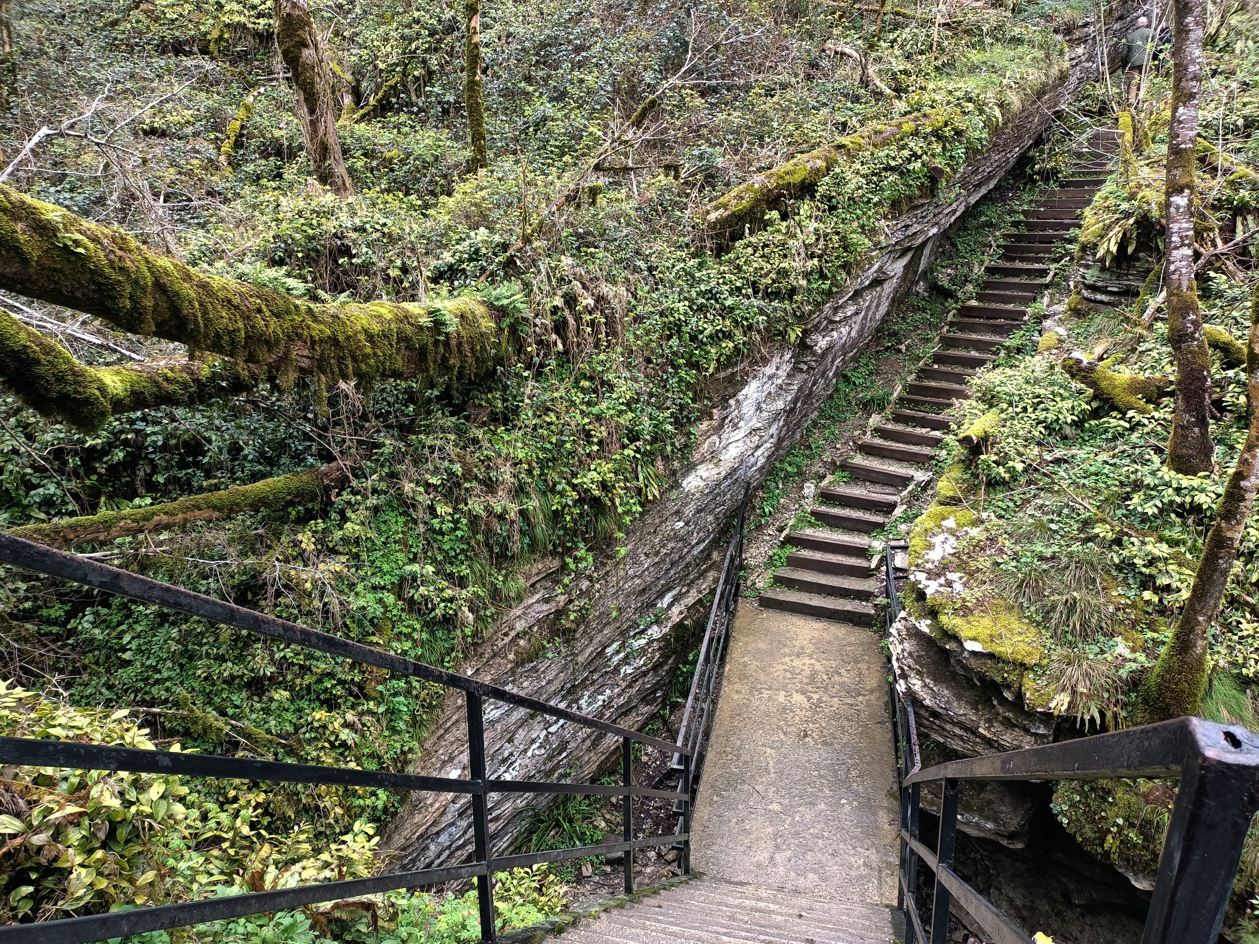 Фото Флоранс