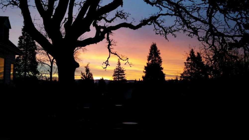 Фото Campbell House Inn