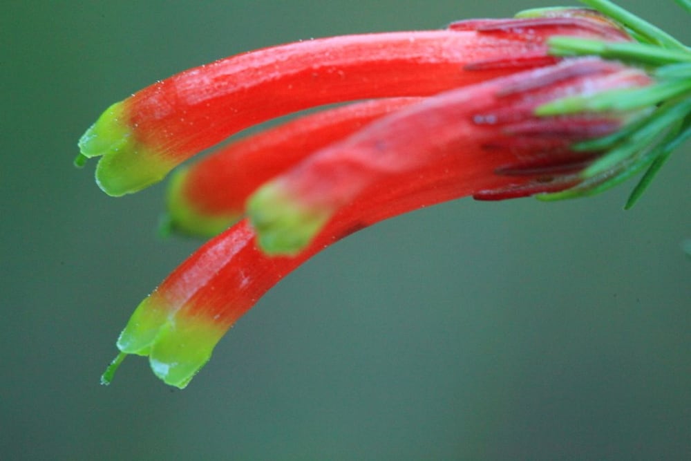 Фото Far Hills Hotel