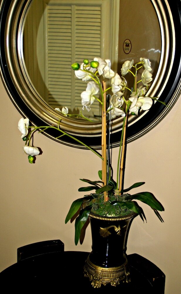 Фото South Beach Plaza Hotel